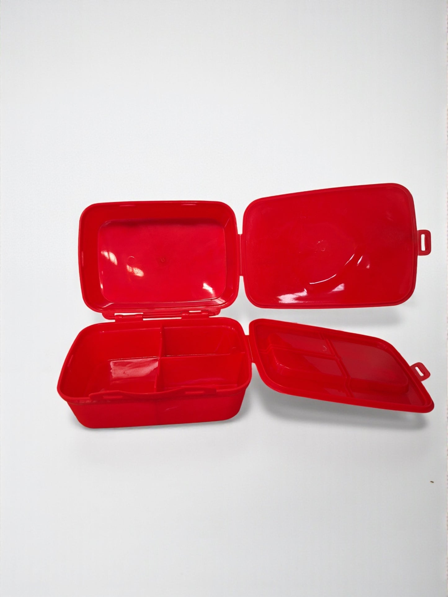 Lunchbox Rood met Dino Design